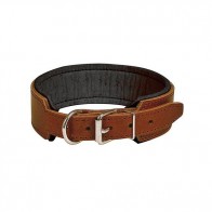 collier-motivation