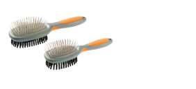 brosse chien